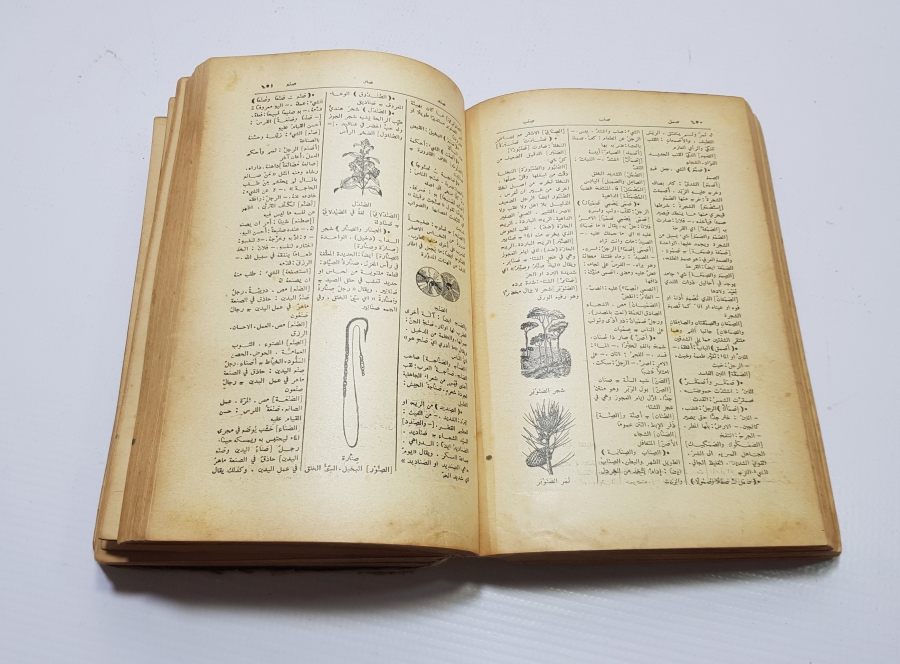 ANTİKA ARAPÇA LUGAT