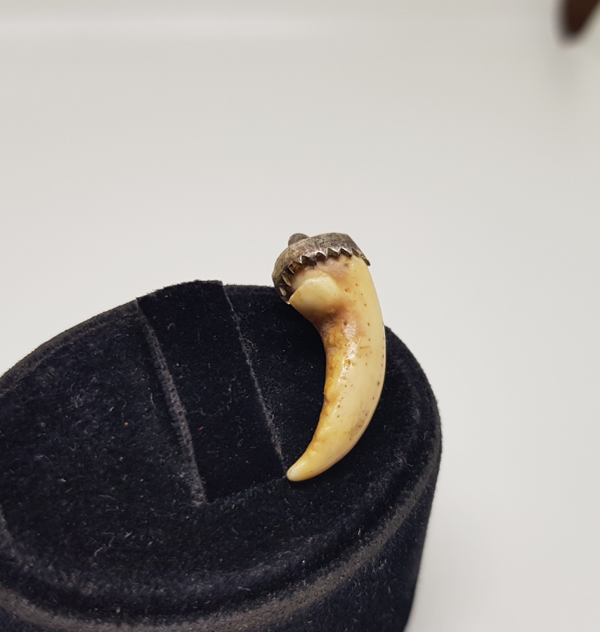 YENGEÇ BACAĞINDAN YAPILMIŞ OSMANLI DÖNEMİ ŞAMANİK DENİZCİ TILSIMI