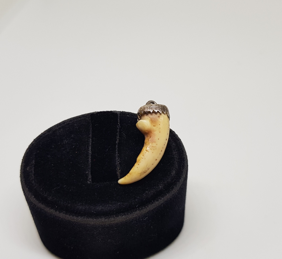 YENGEÇ BACAĞINDAN YAPILMIŞ OSMANLI DÖNEMİ ŞAMANİK DENİZCİ TILSIMI