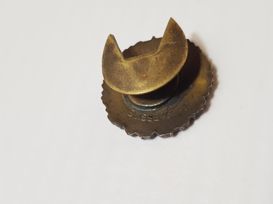 OSMANLICA YAZILI TÜRK TAYYARE CEMİYETİ ROZETİ