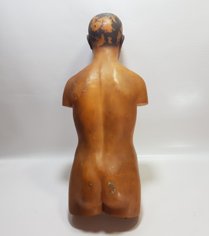 EĞİTİM TARİHİ - FEN DERSİ İNSAN MODELİ