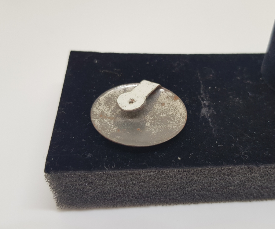 ANTİKA ADALET PARTİSİ ROZET