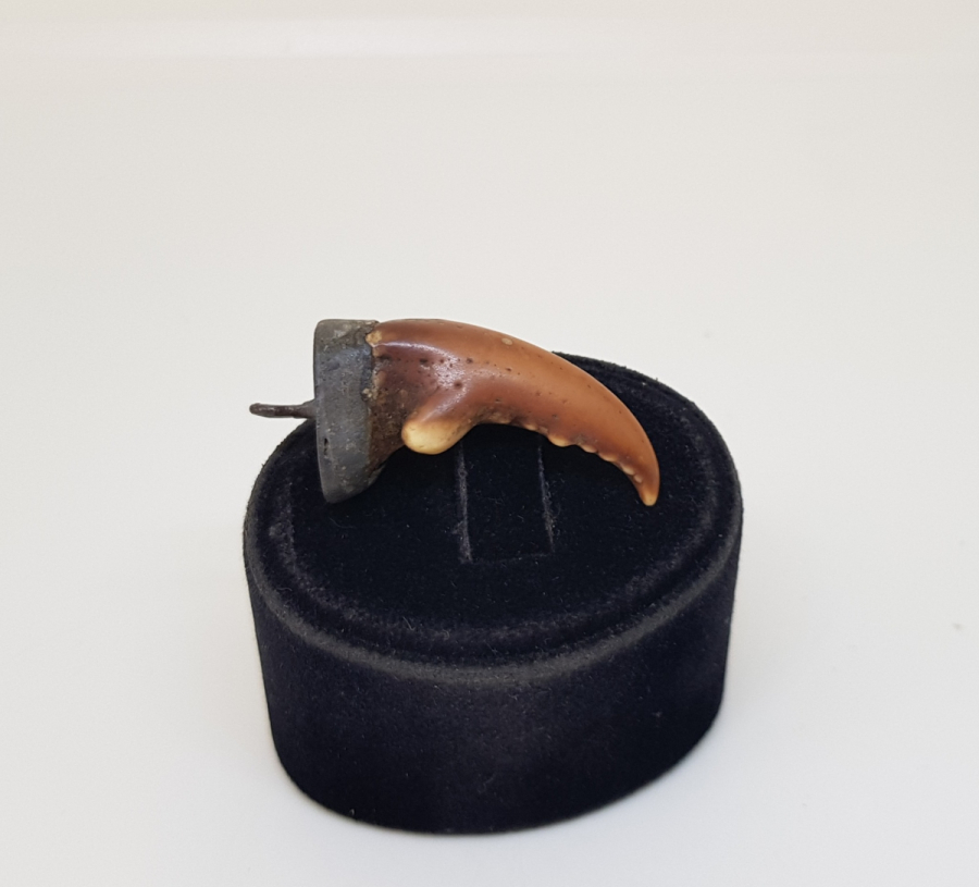 YENGEÇ BACAĞINDAN YAPILMIŞ OSMANLI DÖNEMİ ŞAMANİK DENİZCİ TILSIMI