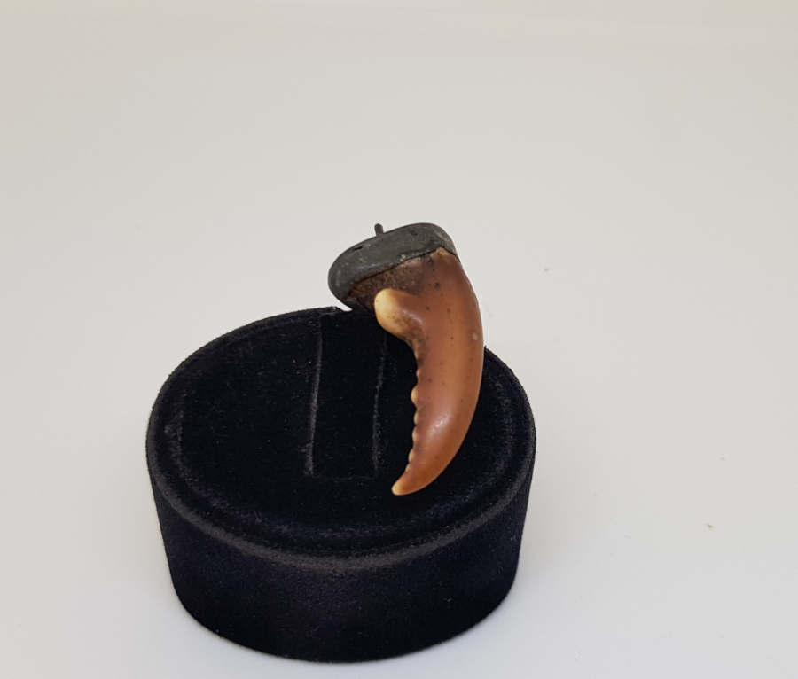 YENGEÇ BACAĞINDAN YAPILMIŞ OSMANLI DÖNEMİ ŞAMANİK DENİZCİ TILSIMI