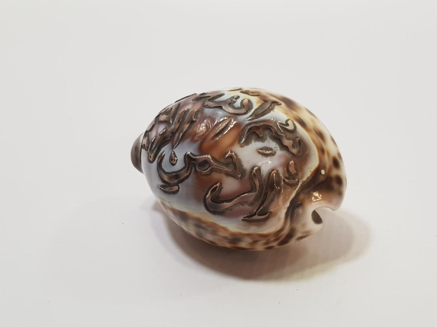 OSMANLI DÖNEMİ ÜZERİ BESMELE YAZILI DENİZ KABUKLUSU