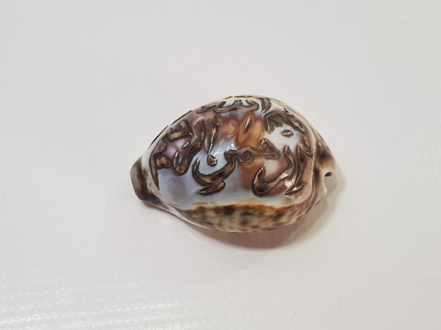 OSMANLI DÖNEMİ ÜZERİ BESMELE YAZILI DENİZ KABUKLUSU