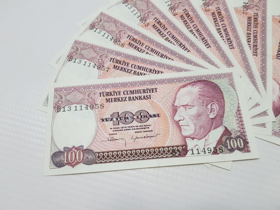 7. EMİSYON 100 LİRA KAĞIT PARA LOTU
