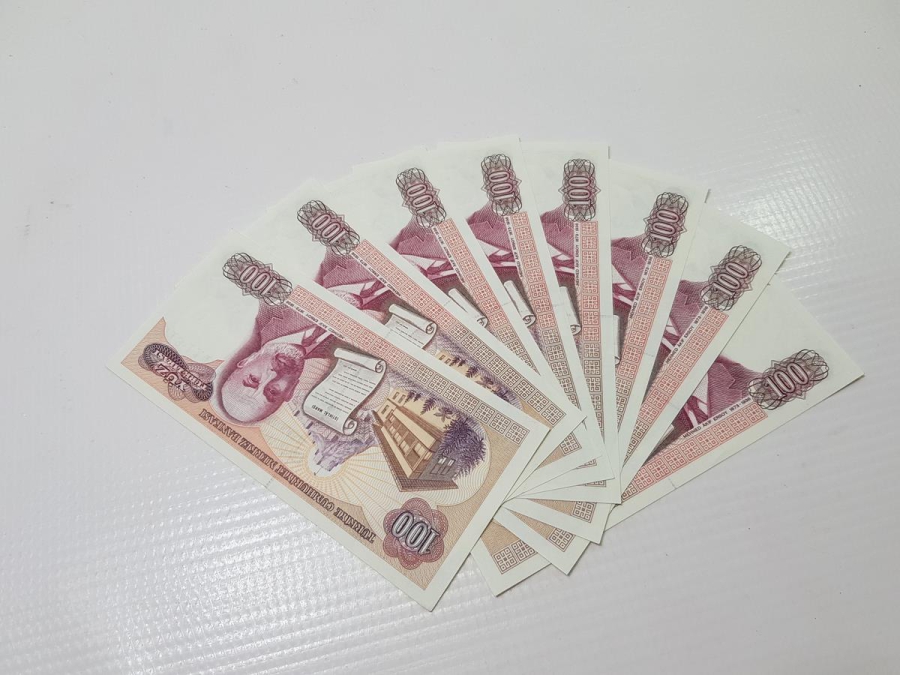 7. EMİSYON 100 LİRA KAĞIT PARA LOTU