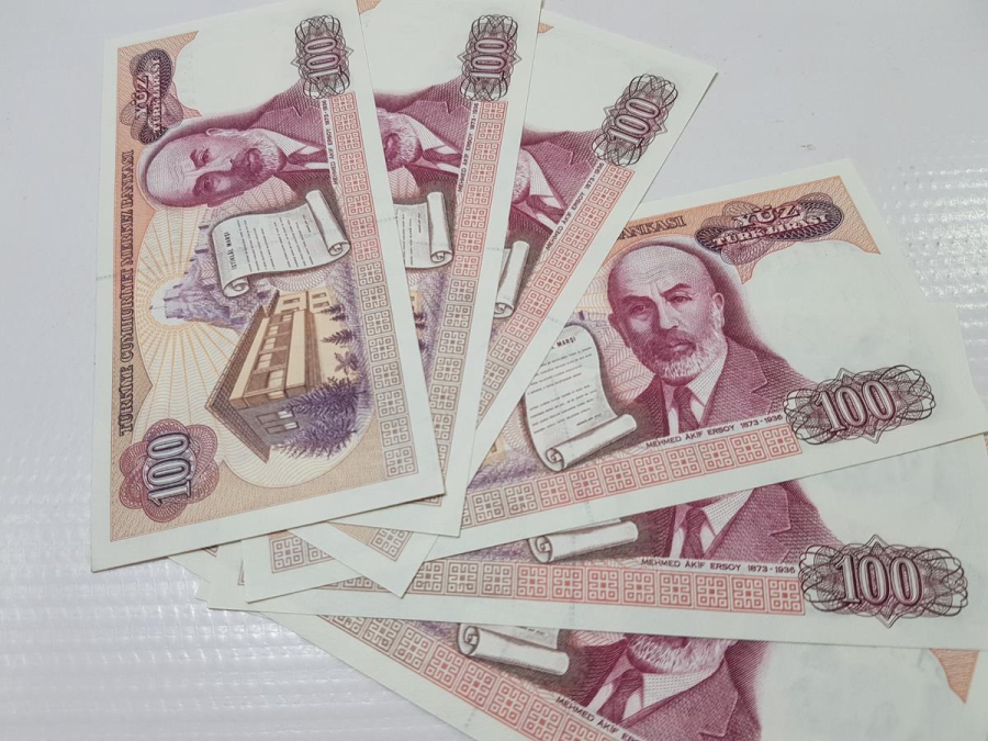 7. EMİSYON 100 LİRA KAĞIT PARA LOTU