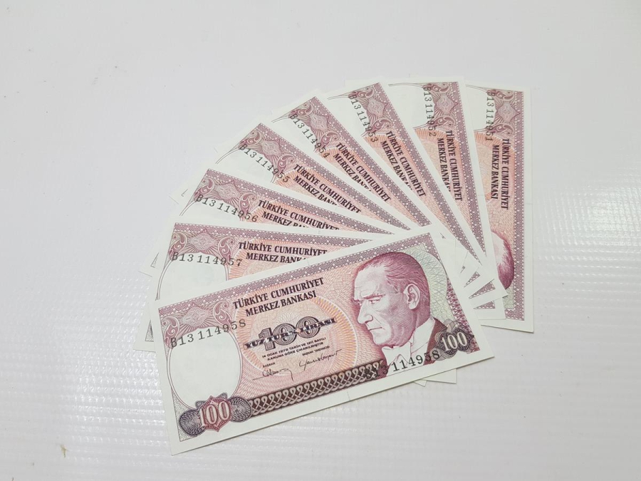 7. EMİSYON 100 LİRA KAĞIT PARA LOTU