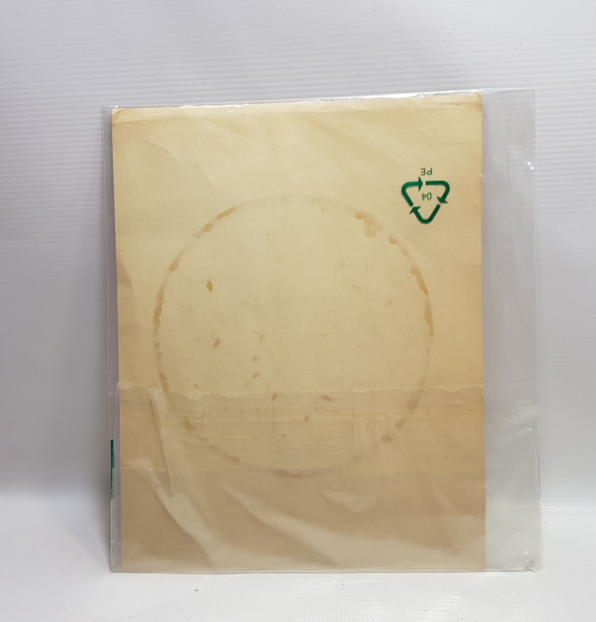 EL ÇİZİMİ GÜLİSTAN ÇİNİ MOTİFİ