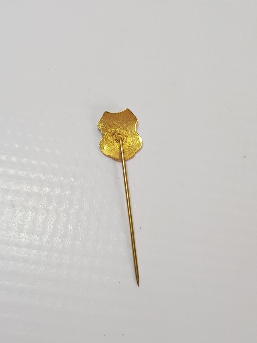 MİNELİ ERZURUM ROZET