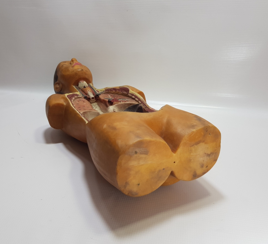 EĞİTİM TARİHİ - FEN DERSİ İNSAN MODELİ