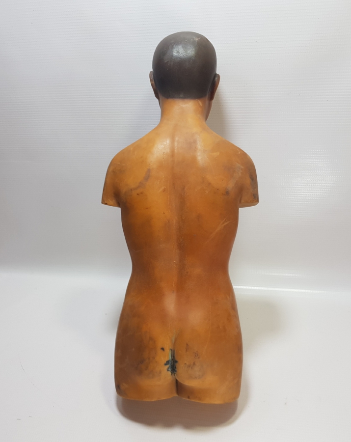 EĞİTİM TARİHİ - FEN DERSİ İNSAN MODELİ