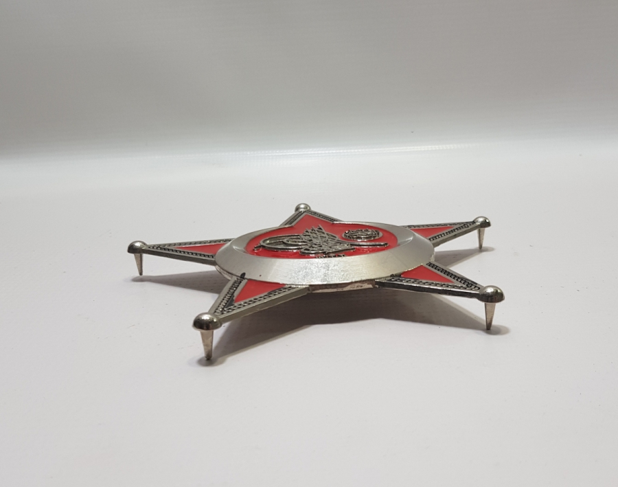 ÇANAKKALE MADALYASI APLİK