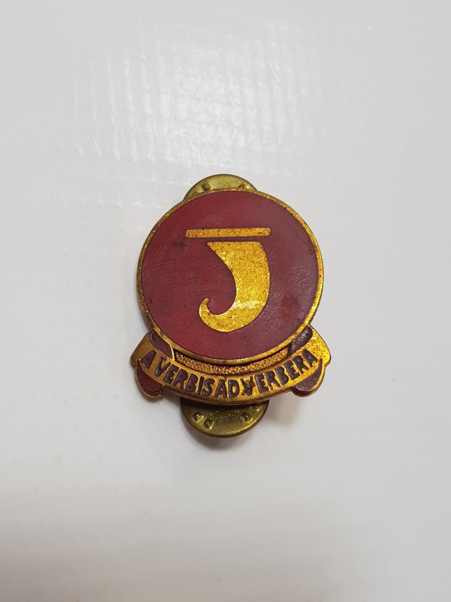 VİETNAM SAVAŞI AMERİKAN TOPÇU SUBAY ROZETİ