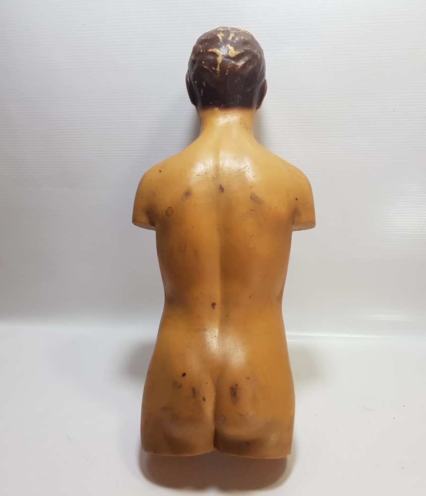 EĞİTİM TARİHİ - FEN DERSİ İNSAN MODELİ