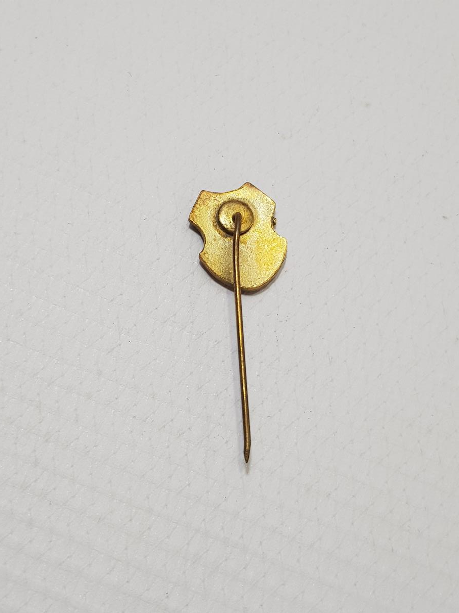 İSTANBUL YAZILI AY YILDIZLI MİNELİ ROZET