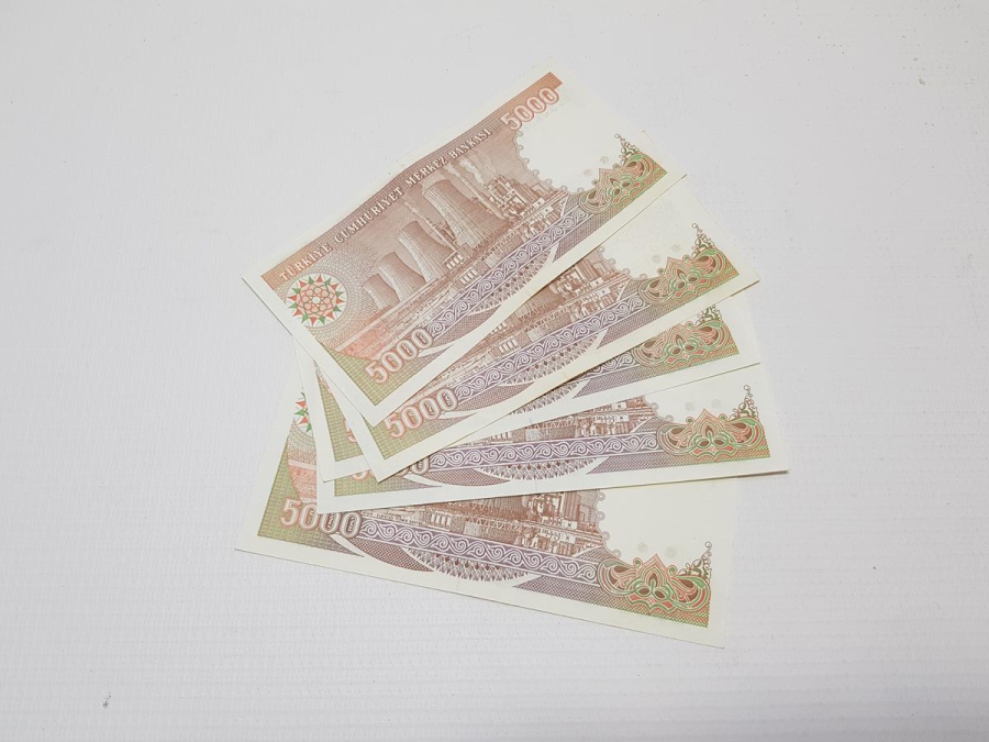 7. EMİSYON 5000 LİRA KAĞIT PARA LOTU