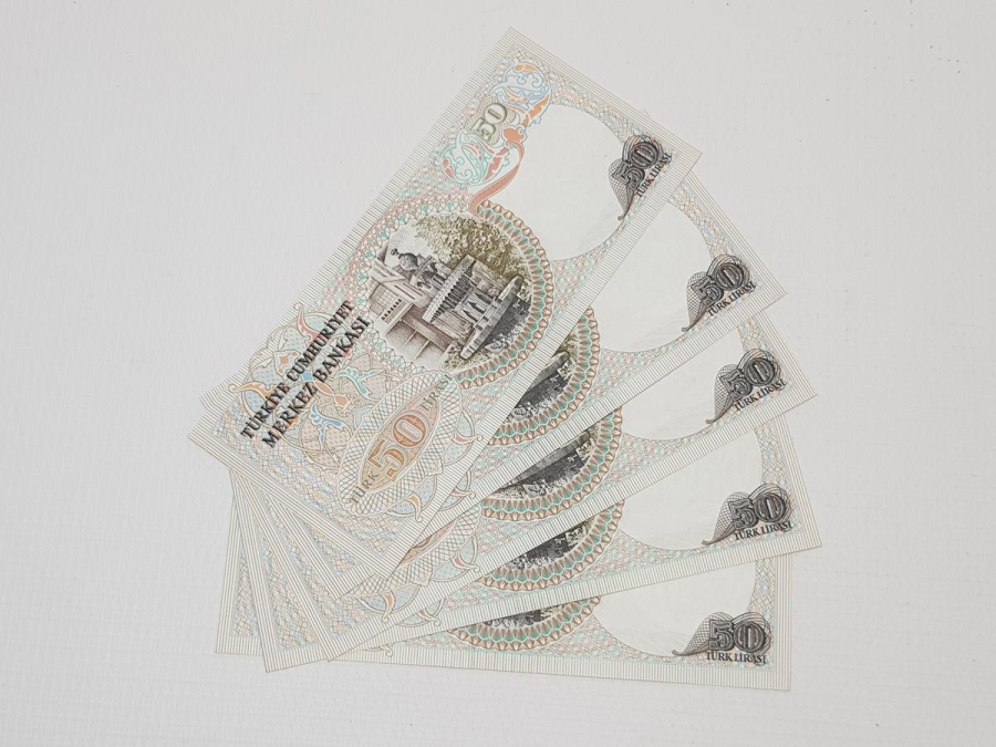 6. EMİSYON 50 LİRA KAĞIT PARA LOTU