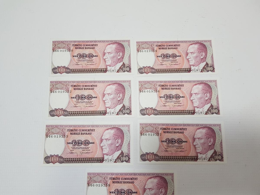 7. EMİSYON 100 LİRA KAĞIT PARA LOTU