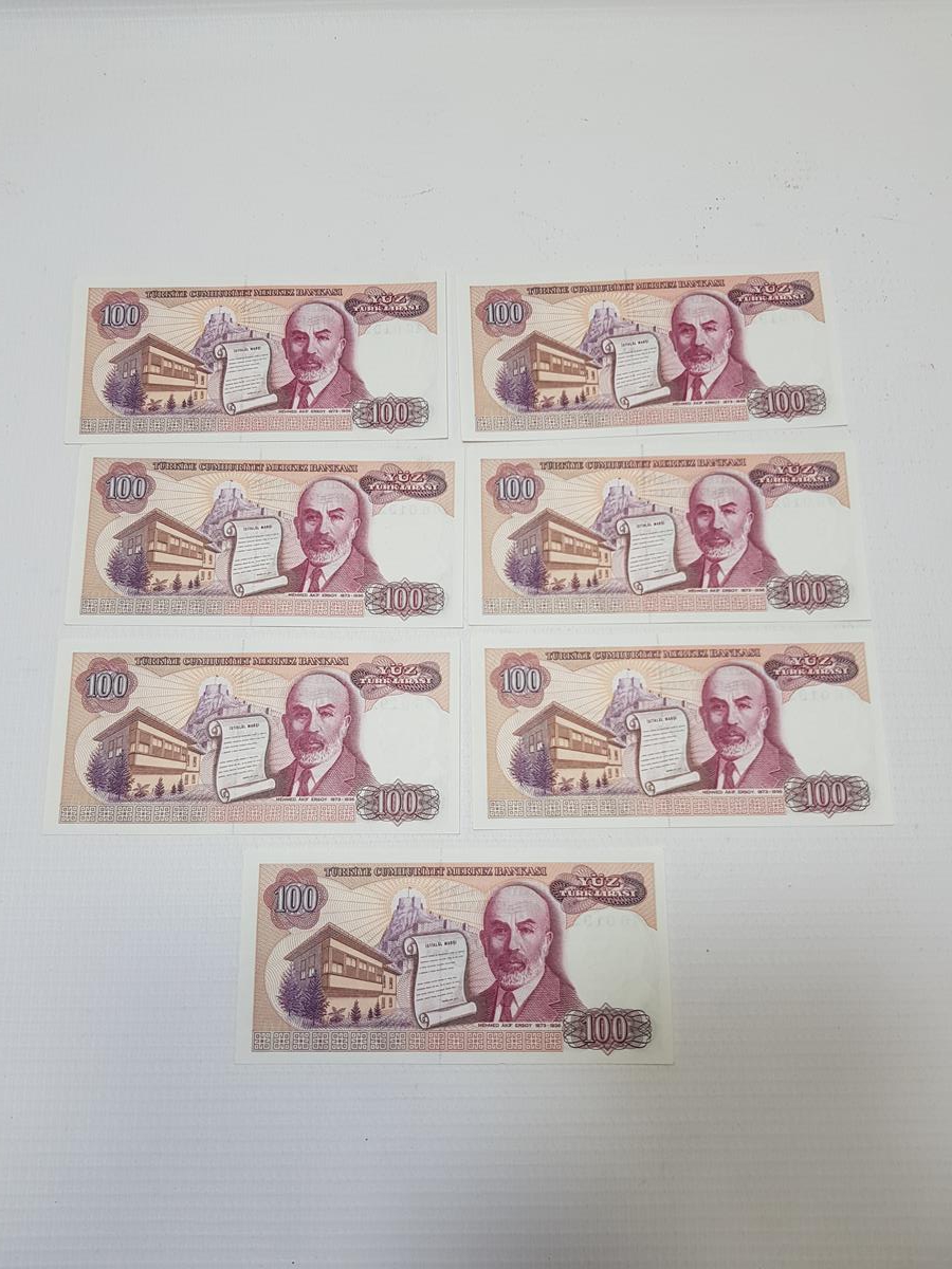 7. EMİSYON 100 LİRA KAĞIT PARA LOTU