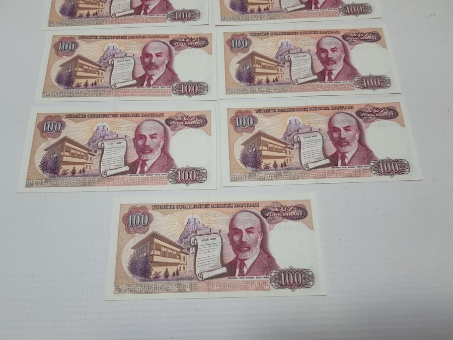 7. EMİSYON 100 LİRA KAĞIT PARA LOTU
