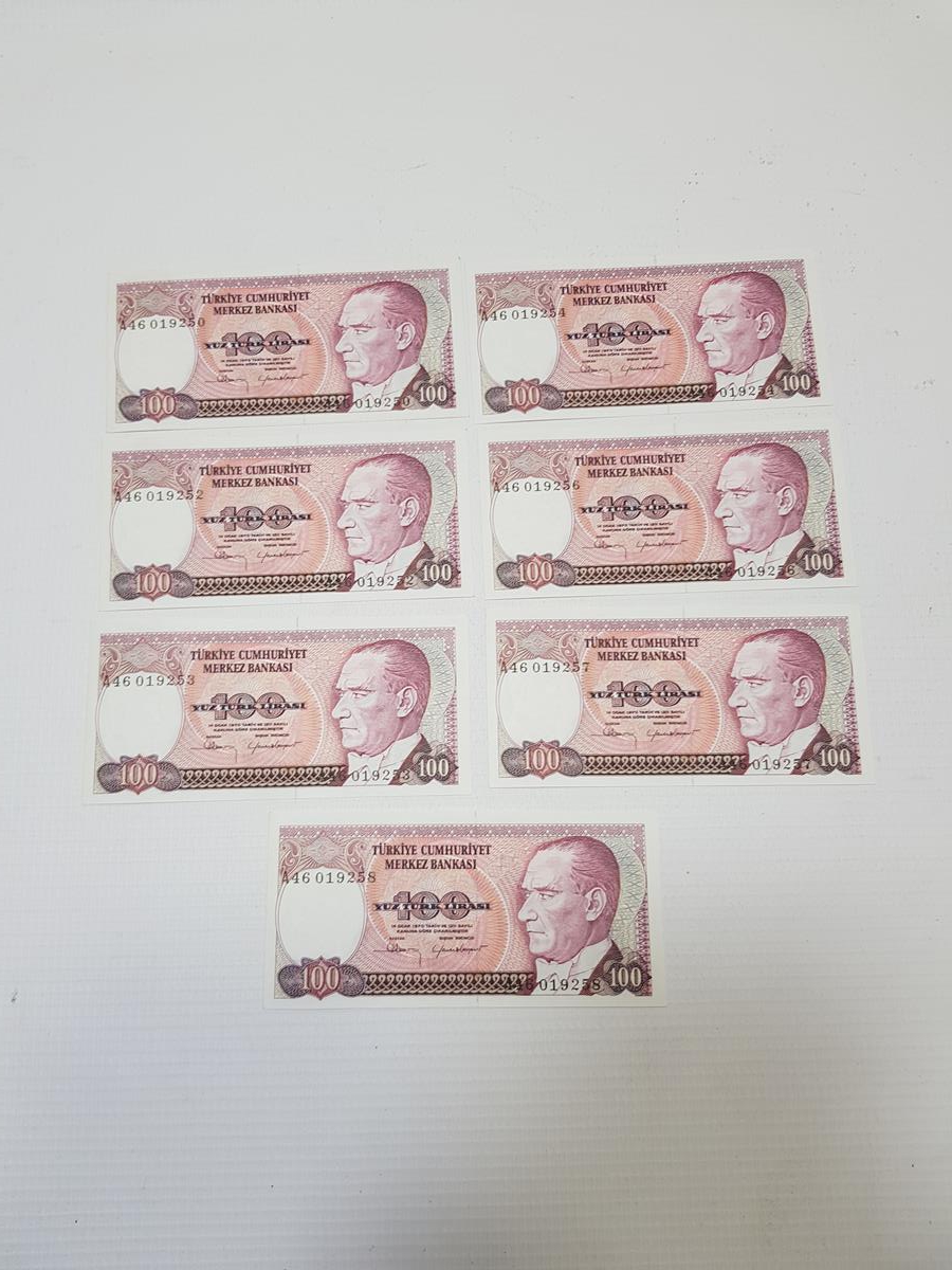 7. EMİSYON 100 LİRA KAĞIT PARA LOTU
