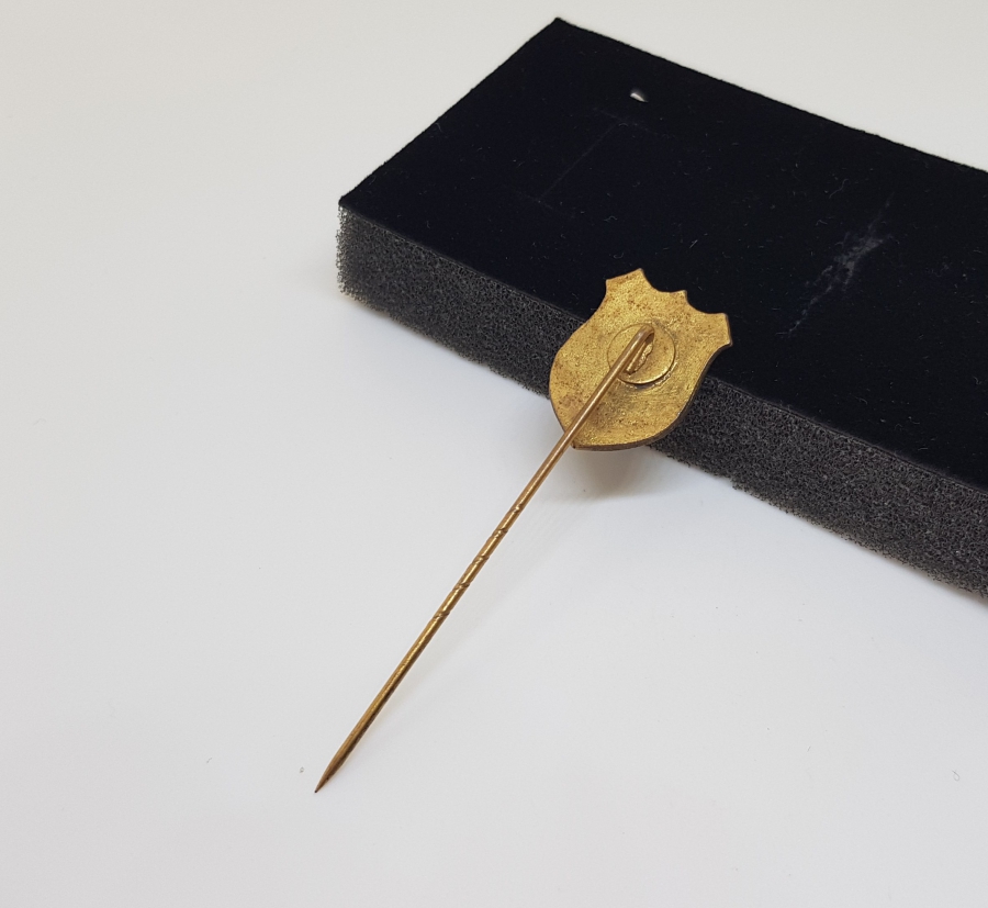 MİNELİ DARÜLACEZE VAKFI ROZETİ