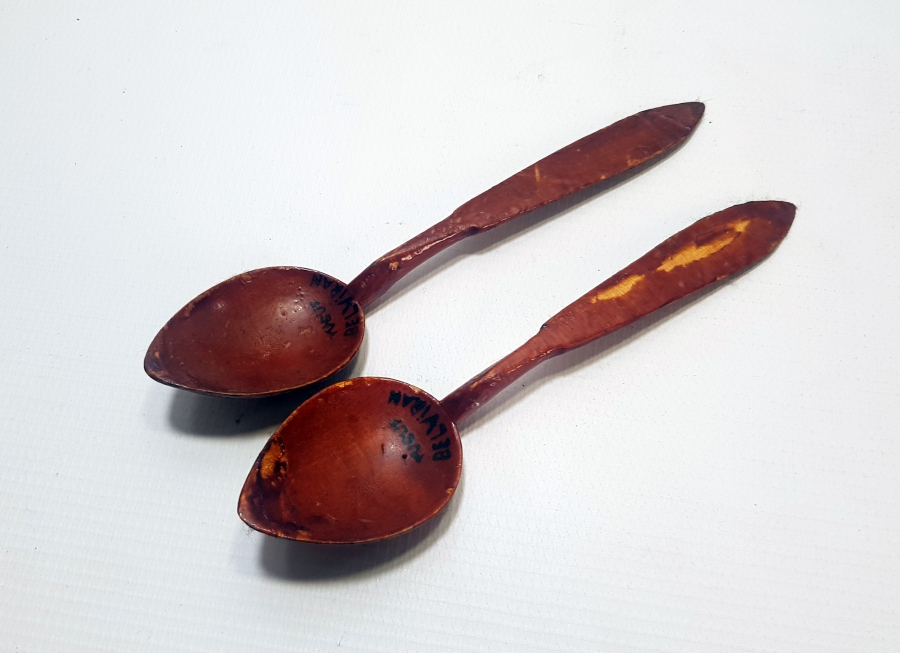 BİR ÇİFT İZCİ KAŞIĞI