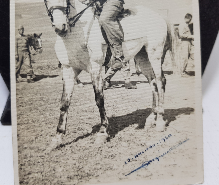 1950 YILI ATLI SÜVARİ FOTOĞRAFI