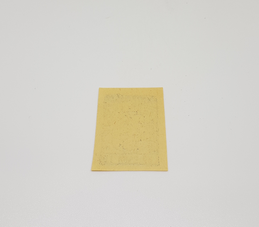 ESAT PAŞA'NIN ARNAVUTLUK DEMİR YOLLARINI YAPARKEN BASTIRDIĞI NADİR 10 PARA