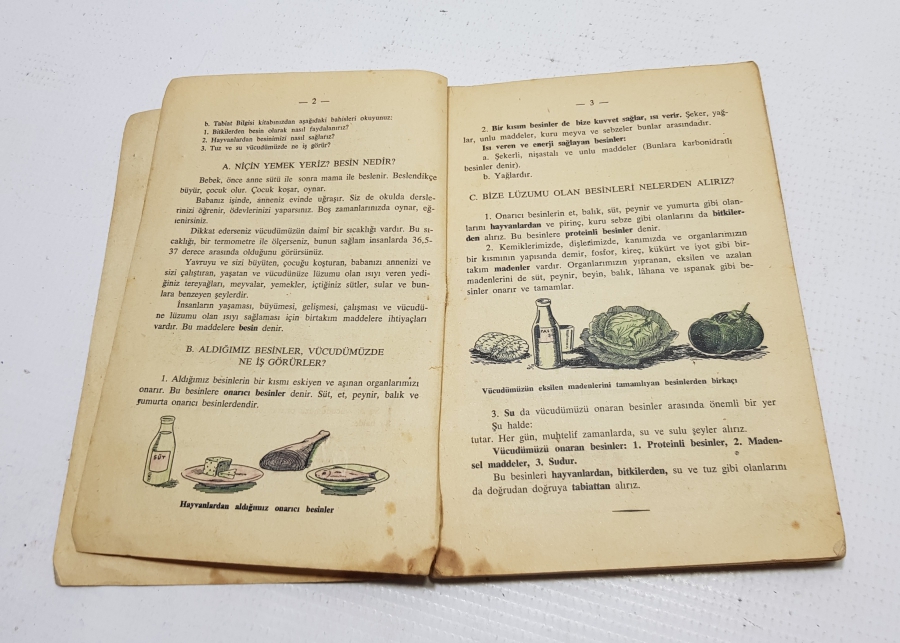 AİLE BİLİGİSİ İLE İLGİLİ ANTİKA KİTAP