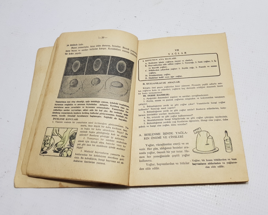 AİLE BİLİGİSİ İLE İLGİLİ ANTİKA KİTAP