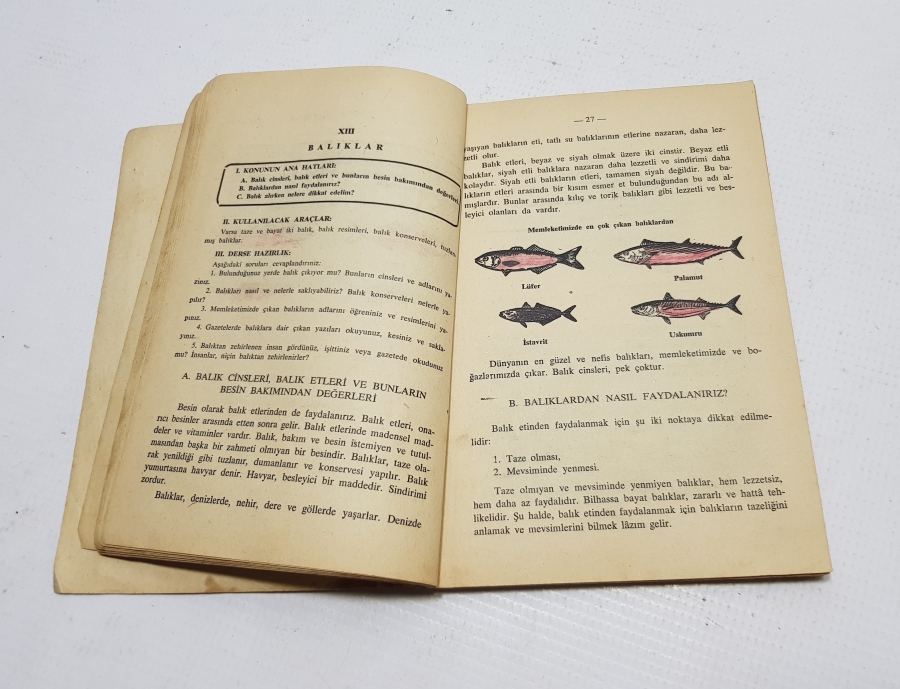 AİLE BİLİGİSİ İLE İLGİLİ ANTİKA KİTAP