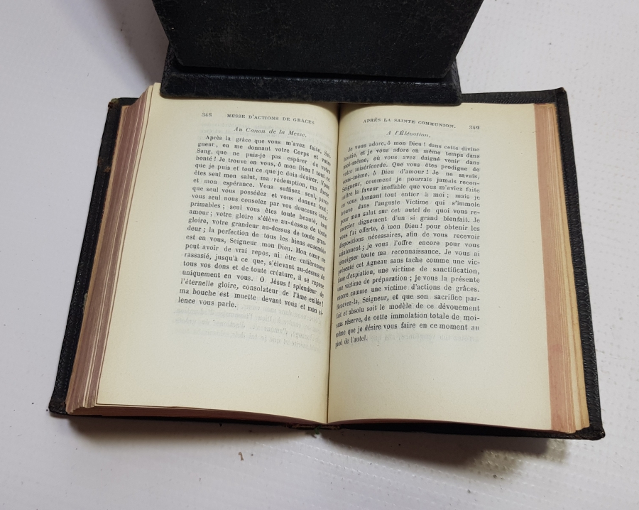 1874 TARİHLİ DERİ CİLTLİ ANTİKA İNCİL