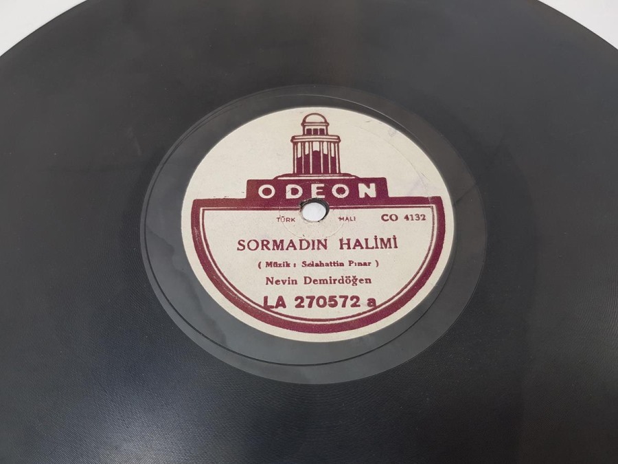 NEVİN DEMİRDÖĞEN