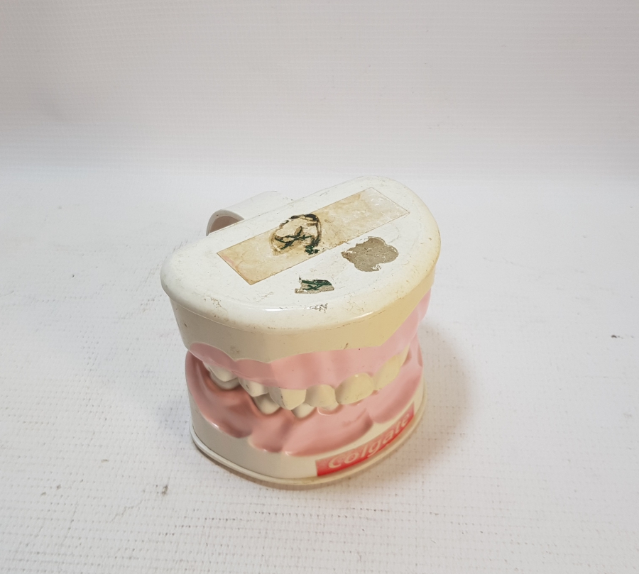 COLGATE PROMOSYON ÇENE VE DİŞLER MAKETİ