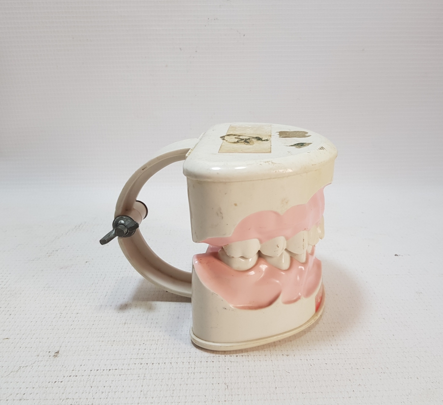 COLGATE PROMOSYON ÇENE VE DİŞLER MAKETİ