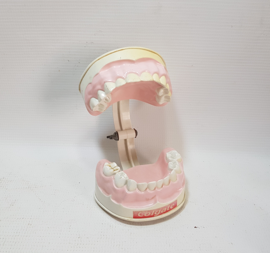 COLGATE PROMOSYON ÇENE VE DİŞLER MAKETİ