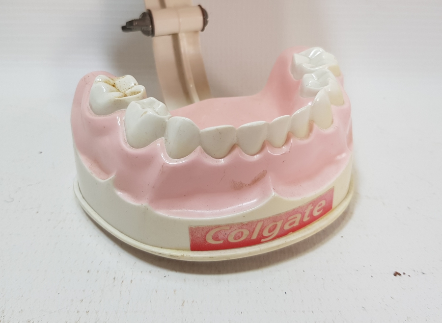 COLGATE PROMOSYON ÇENE VE DİŞLER MAKETİ
