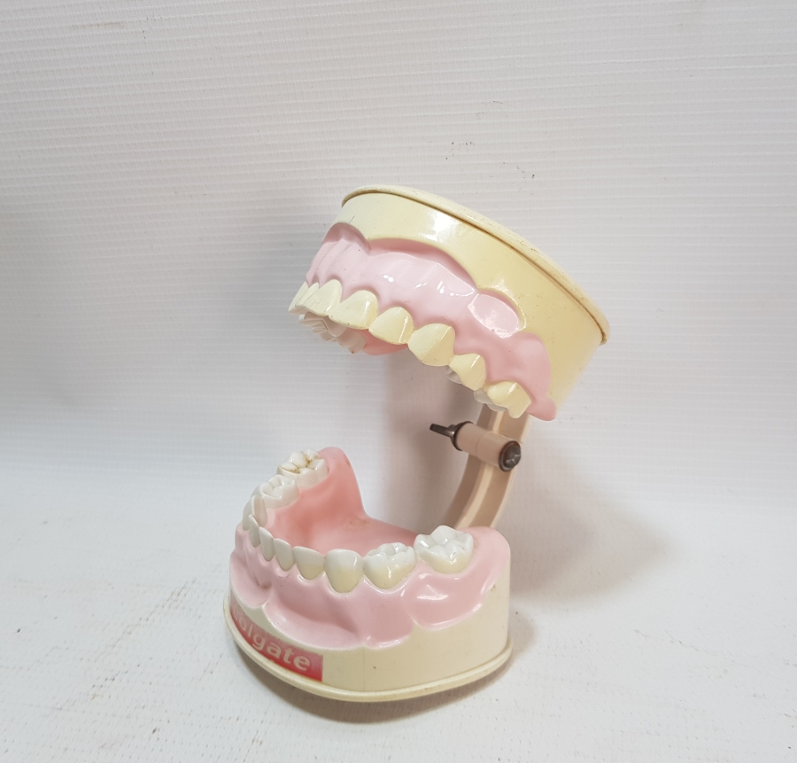 COLGATE PROMOSYON ÇENE VE DİŞLER MAKETİ