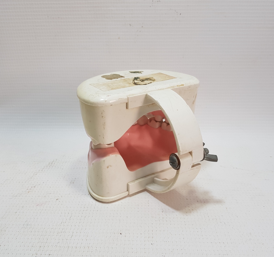 COLGATE PROMOSYON ÇENE VE DİŞLER MAKETİ