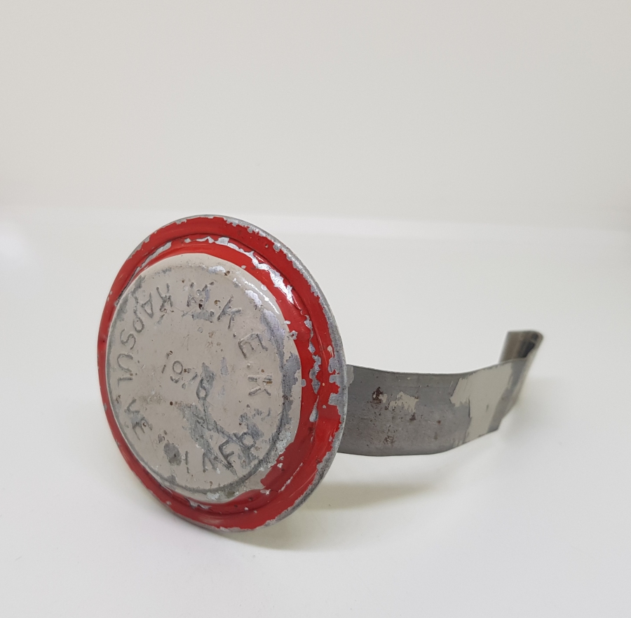 DEMİRYOLU TARİHİ: KESTANE FİŞEĞİ