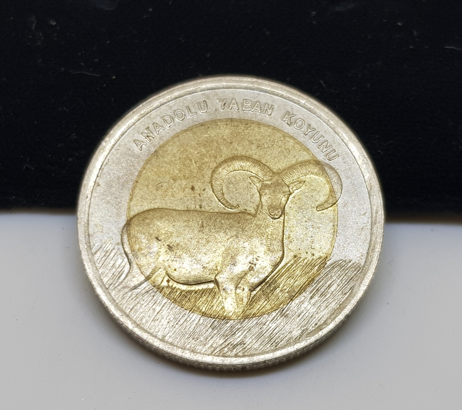 2015 ANADOLU YABAN KOYUNU 1 LİRA HATIRA PARA