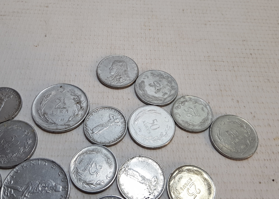 AKMONİTAL PARA LOTU