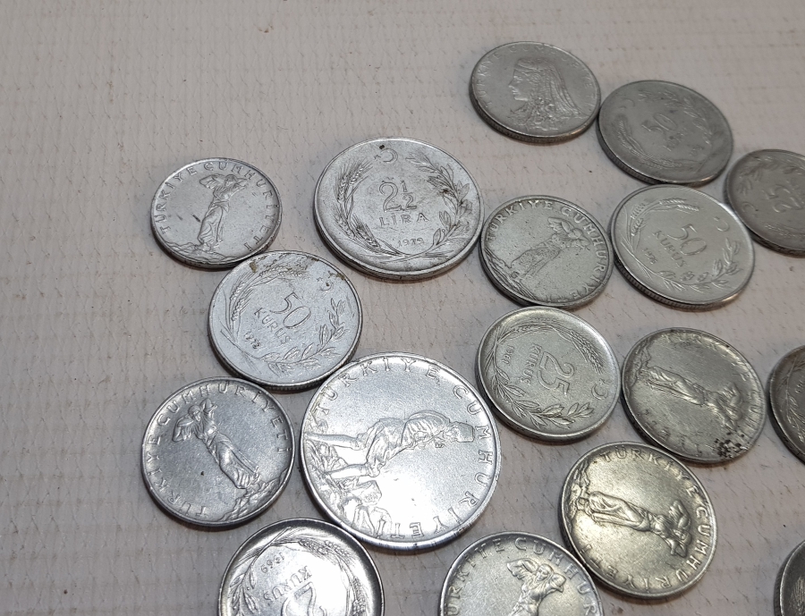 AKMONİTAL PARA LOTU