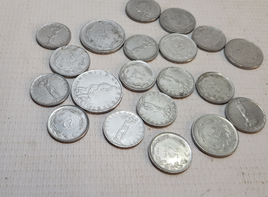 AKMONİTAL PARA LOTU