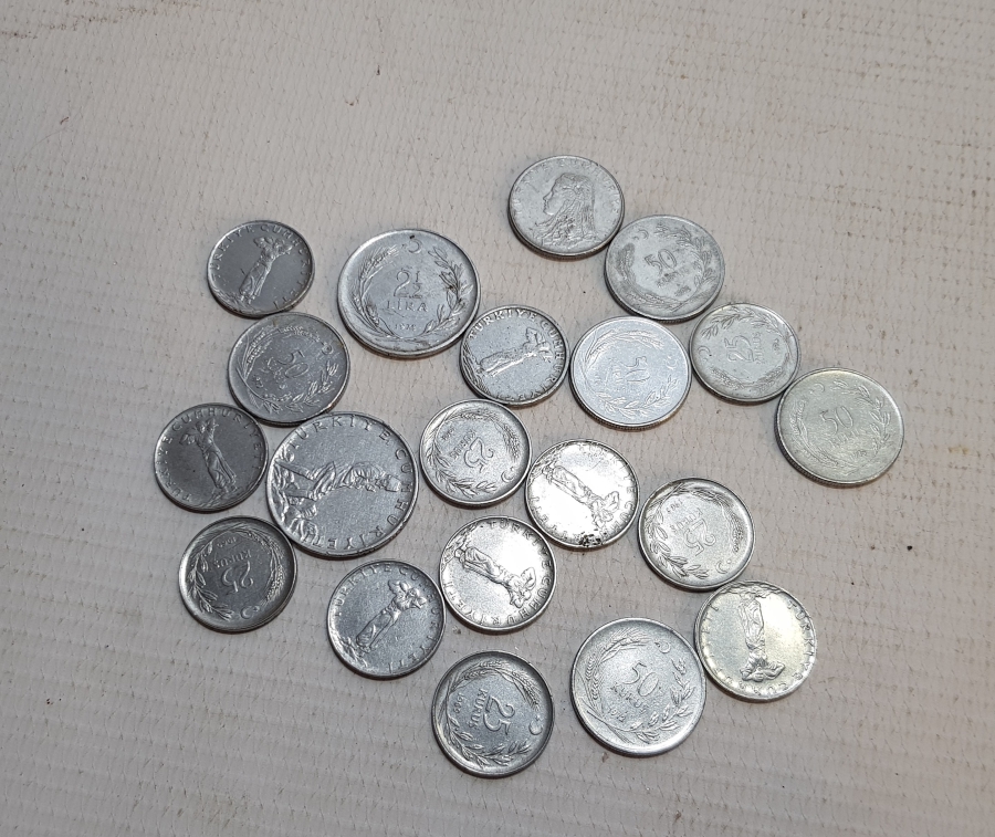 AKMONİTAL PARA LOTU