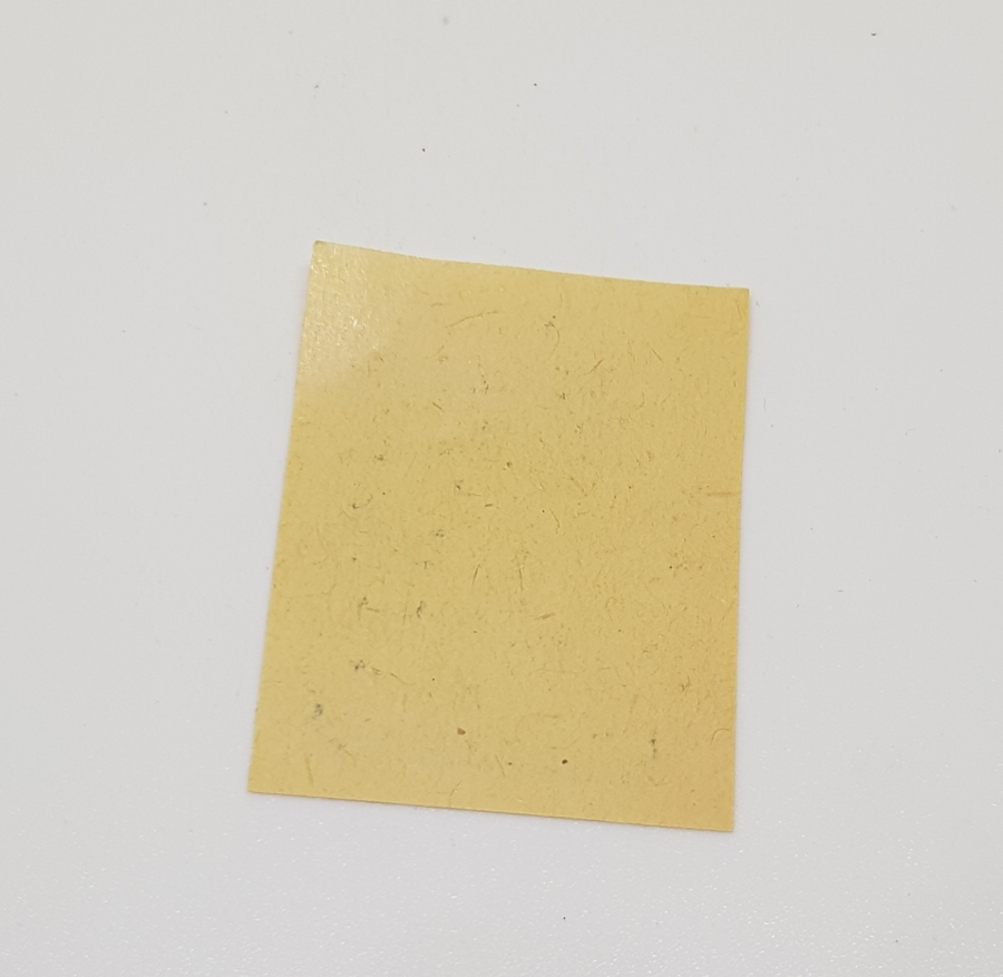 ESAT PAŞA'NIN ARNAVUTLUK DEMİR YOLLARINI YAPARKEN BASTIRDIĞI NADİR 10 PARA